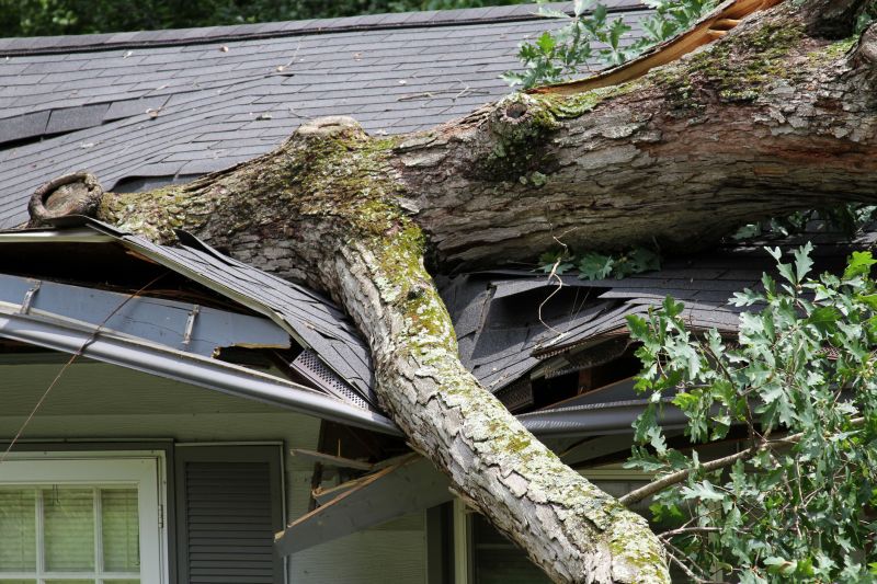 Storm Damage Repair Specialist